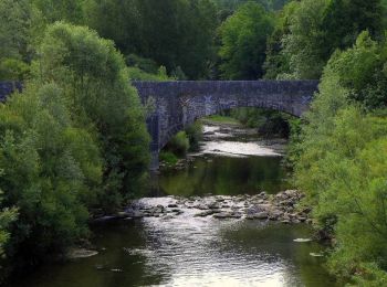 Excursión Senderismo Seyssel - Sur les Pas des Huguenots - Seyssel  - Frangy - Photo