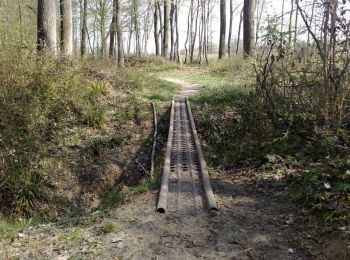 Randonnée V.T.T. Hazebrouck - Forêt de Nieppe - Hazebrouck - Photo