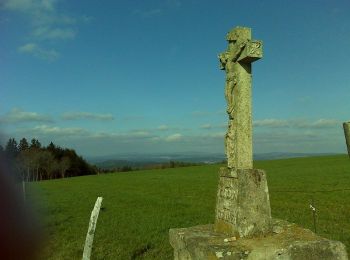 Tocht Stappen Saint-Jeures - Les champs de St Jeures - Photo