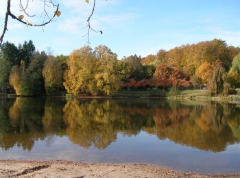 Tour Wandern Bitsch - Marathon dans le Pays de Bitche - Photo