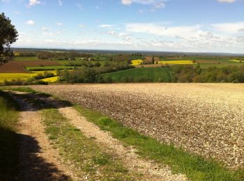 Tour Laufen Vacquiers - De Vacquiers à la Forêt Royale - Photo