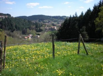 Randonnée V.T.T. La Séauve-sur-Semène - Autour de la Semène - La Séauve sur Semène - Photo