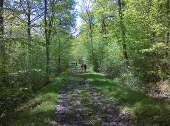 Trail Walking Curtil-sous-Buffières - Rando du 1er Mai - Curtil sous Buffières - Photo