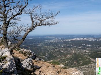 Randonnée Marche Saint-Marc-Jaumegarde - La Croix de Provence depuis le barrage de Bimont, le sentier Imoucha - Photo