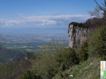 Excursión Senderismo Beauregard-Baret - Le Pré de Cinq Sous - Montagne de Musan - Photo