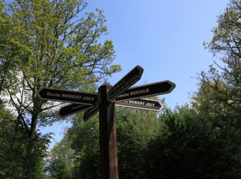 Trail Walking Rochefort-en-Yvelines - Entre Rochefort en Yvelines,  St Arnoult et Clairefontaine - Photo