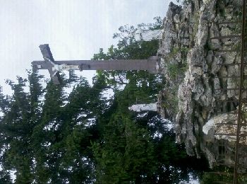 Randonnée Marche Gorze - Gorze rochers de la Fraze 2012-06-07 - Photo