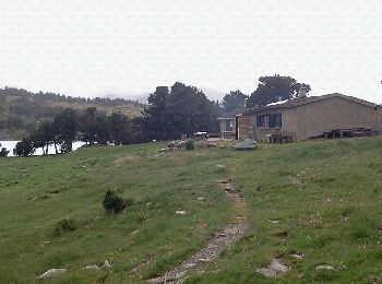 Tour Wandern Formiguères - les camporeills - Photo