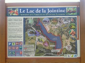 Tour Wandern Étables - lac de la jointine - Photo