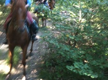Tour Pferd Sannat - Sannat 1 - Photo
