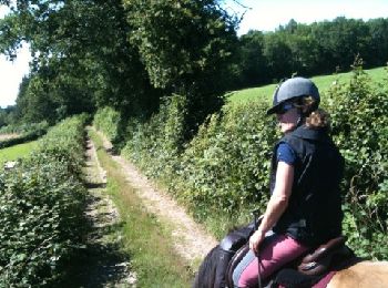 Tour Pferd Sannat - gribouille1 - Photo