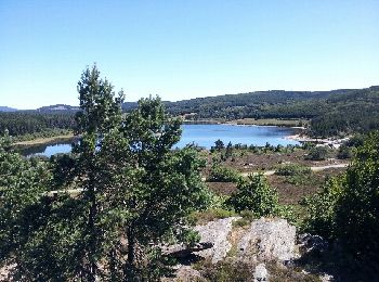 Trail Walking Fraisse-sur-Agout - Tour du lac de Vésoles - Photo