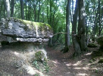 Percorso Marcia Ancy-Dornot - Dornot - Croix saint clément - pierre qui tourne - rochers de la Fraze - Photo