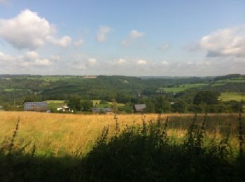 Tocht Mountainbike Comblain-au-Pont - 2012-07-29 - 13h24m29 - Photo