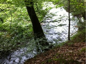 Tocht Mountainbike Gavray-sur-Sienne - gavray - Photo