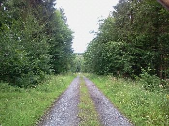 Trail Walking Liessies - mrlobo - Photo