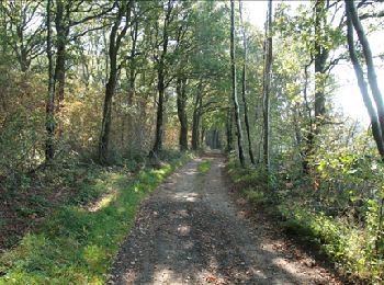 Trail Walking Plombières - Hombourg. Natura 2000, des sites qui valent le détour ! Lg6 - Photo