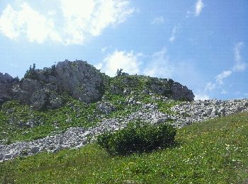 Tocht Andere activiteiten La Chapelle-d'Abondance - savalenaz - Photo