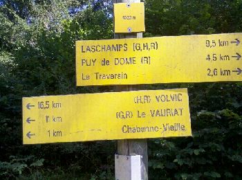Randonnée Marche Ceyssat - Puy de Dôme - Photo