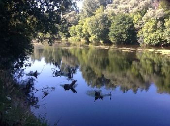 Tour Wandern Seigy - À côté du GR41 depuis le camping St. Aignan - Photo