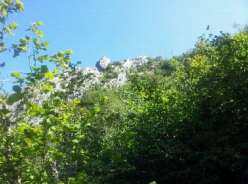 Trail Walking Brusque - Dent de St Jean depuis Céras - Photo