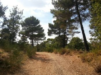Trail Walking La Roque-d'Anthéron - val de castellas - Photo