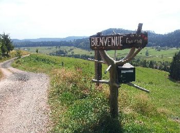 Excursión Senderismo Bourg-Bruche - Le Climont par le Hang - Photo