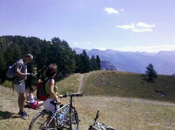 Tour Mountainbike Puy-Saint-Vincent - Descente sur Les Vigneaux - Photo