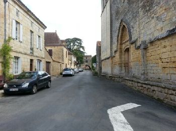 Trail Walking Badefols-sur-Dordogne - adefols sur Dordogne Cadouin  via Molières  - Photo