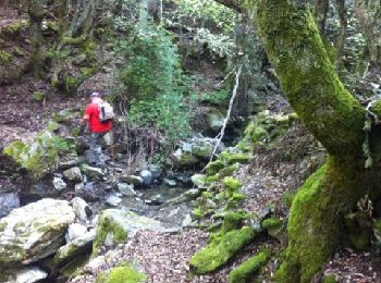 Trail Walking Bigorno - bigornu vers murato - Photo