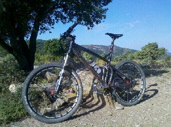 Tour Mountainbike Cogolin - Chartreuse - Treps - Photo