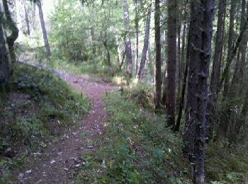 Trail Walking Saint-Michel-les-Portes - Vercors-120923(foEnC) - ColPellas-ColPapavet - Photo