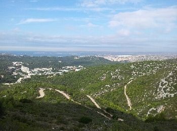 Trail Walking Marseille - Vallon Ricard - Pied des Falaises de Luminy - Photo