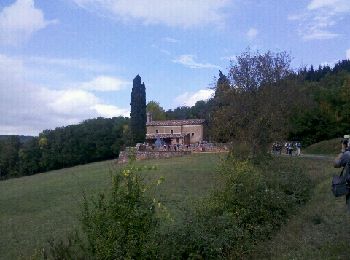 Tour Wandern Puycelsi - Aveyron-121011 - Puycelci-FtGrésigne (txt,gps,foto) - Photo