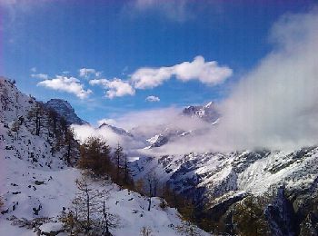 Trail Walking Vallouise-Pelvoux - Bellevedere des 3 refuges - Photo