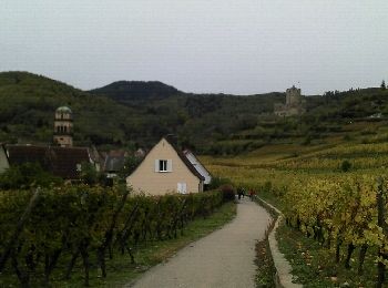 Tocht Stappen Kaysersberg-Vignoble - Balade dans les vignes à Kaysersberg - Photo