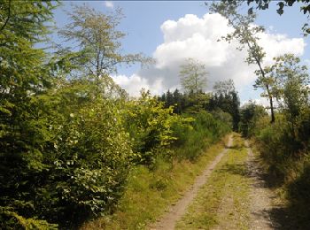 Randonnée Marche Vresse-sur-Semois - Vresse-sur-Semois. Natura 2000, des fiches qui valent le détour ! Na1 - Photo