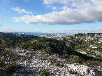 Randonnée Marche Marseille - GR51-GR98 Les Calanques - Photo