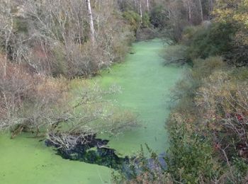 Trail Walking Rocamadour - cabouye rocamadour Nov 8 - Photo