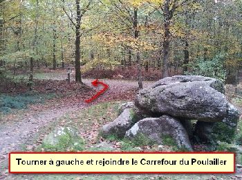 Percorso Camminata nordica Landéan - CMN Du Poulailler à Galoupel 10 km - Photo