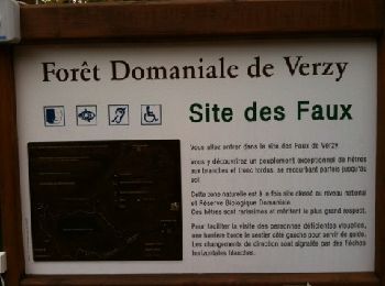 Tocht Stappen Verzy - Balade en Forêt de Faux  - Photo