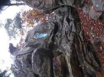 Randonnée Autre activité Fontainebleau - fontainebleau - Photo