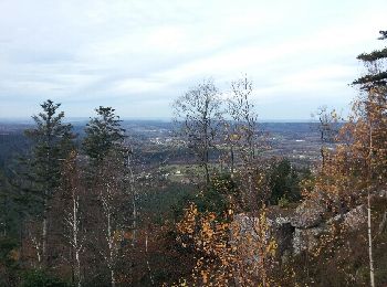 Excursión Bici de montaña Raon-l'Étape - bois joli - Photo