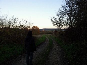 Tour Wandern Zillig - GAUME Points de vue St Leger - Photo