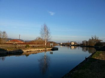 Tocht Noords wandelen Écrouves - Canal Foug - Photo