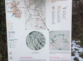 Tour Wandern Saint-Geniez - Pierre-Écrite  - Photo