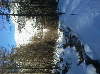 Trail Snowshoes Le Monêtier-les-Bains - Les Sagnières par le Casset et le vallon du Trabuc - Photo