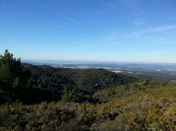 Trail Walking Marseille - La Grande Etoile - Photo