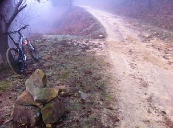 Tocht Mountainbike Hondarribia/Fontarrabie - Esp-Jaizkibel-20130107 - Photo