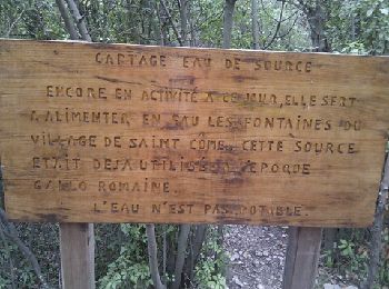 Trail Walking Saint-Côme-et-Maruéjols - St Côme opidum de Mourressipe - Photo